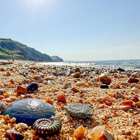 Charmouth Lodge Bridport Esterno foto