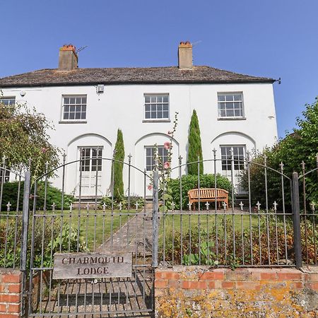 Charmouth Lodge Bridport Esterno foto