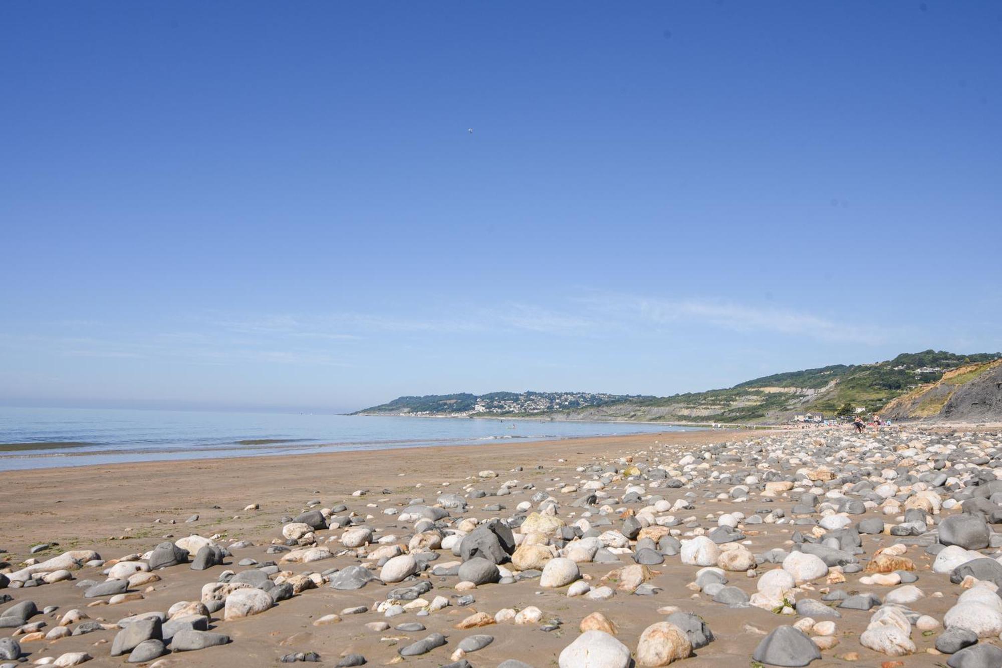 Charmouth Lodge Bridport Esterno foto