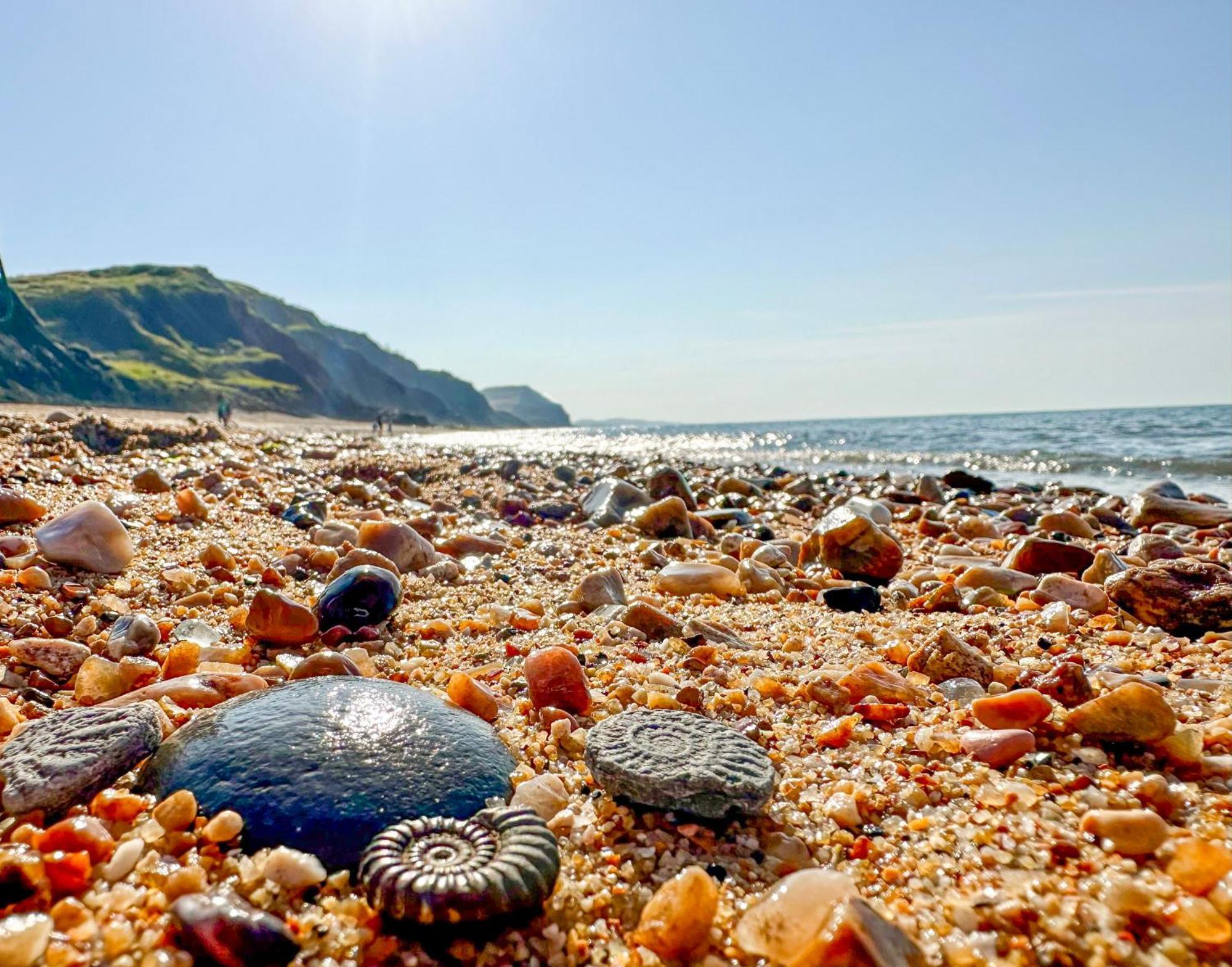 Charmouth Lodge Bridport Esterno foto